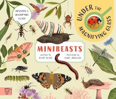 Minibeasts: Under the Magnifying Glass - Rosie Neave
