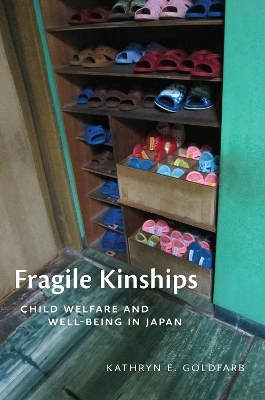 Fragile Kinships - Kathryn E. Goldfarb