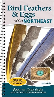 Bird Feathers & Eggs of the Northeast - Stan Tekiela
