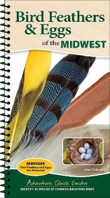Bird Feathers & Eggs of the Midwest - Stan Tekiela