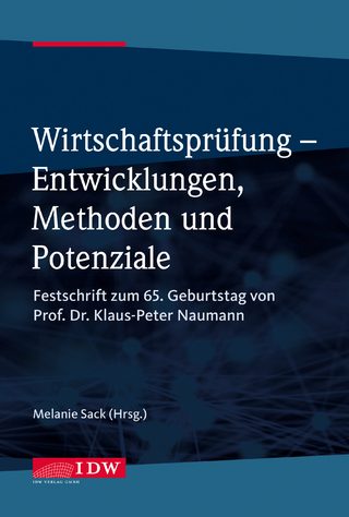 Wirtschaftsprüfung - Entwicklungen, Methoden und Potenziale