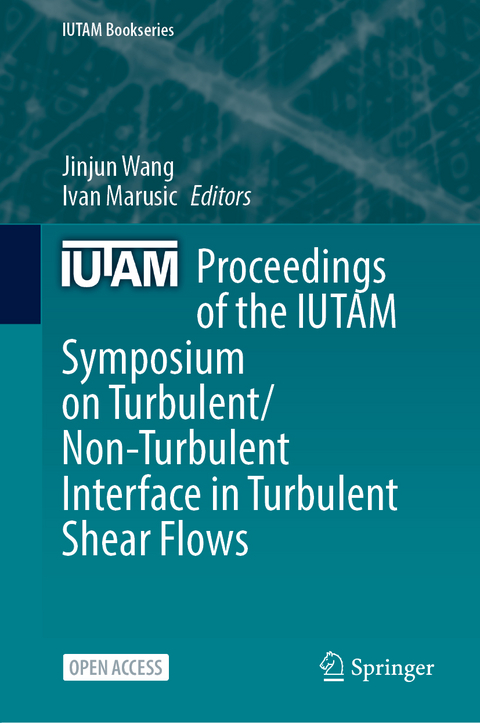 Proceedings of the IUTAM Symposium on Turbulent/Non-Turbulent Interface in Turbulent Shear Flows - 