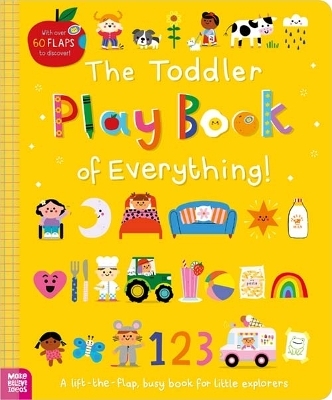The Toddler Play Book of Everything! - Sarah Creese