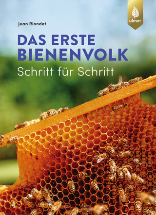 Das erste Bienenvolk