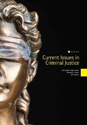 Current Issues in Criminal Justice - Christopher James Utecht, Darren K. Stocker, Jeff Czarnec