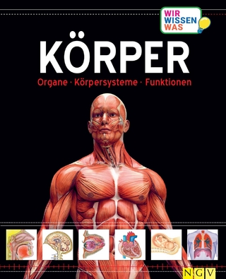 Körper