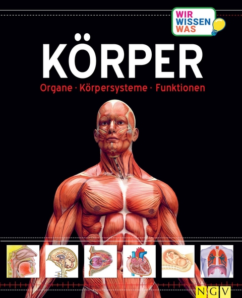 K&ouml;rper