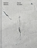 Geister Ghosts - David Schalko