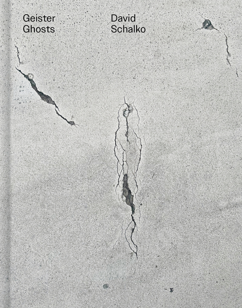 Geister Ghosts - David Schalko