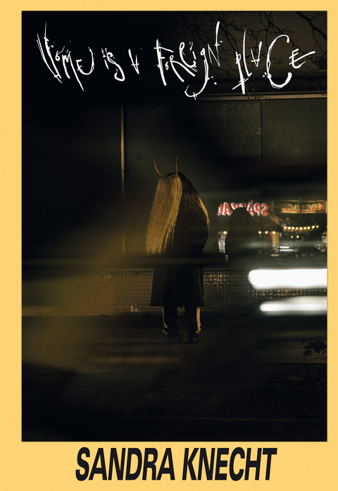 Sandra Knecht. Home Is a Foreign Place - Laura Ewert, Birgit Stammberger