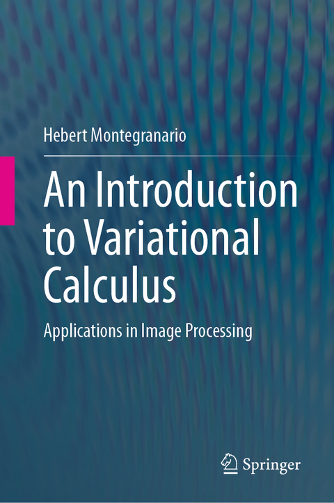 An Introduction to Variational Calculus - Hebert Montegranario