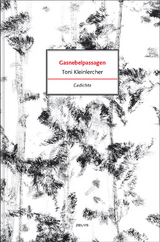 Gasnebelpassagen - Toni Kleinlercher