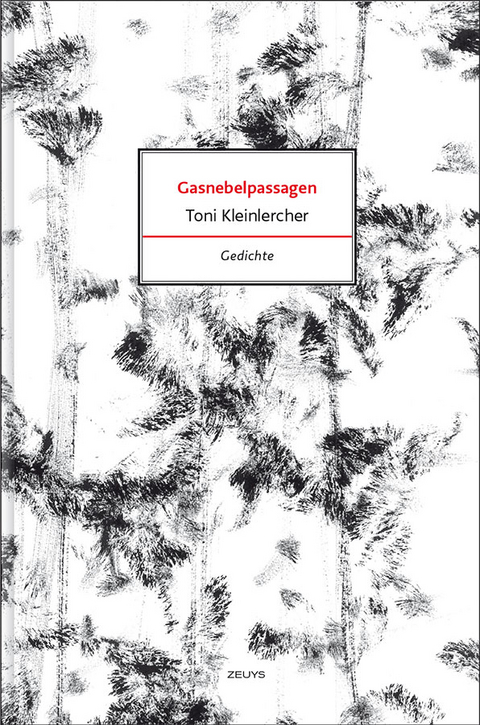 Gasnebelpassagen - Toni Kleinlercher