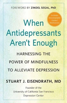 When Antidepressants Aren't Enough - Stuart J. Eisendrath, Zindel Segal