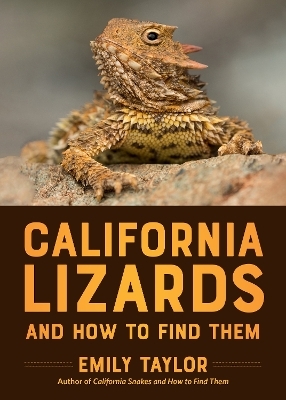 California Lizards and How to Find Them - Emily Taylor