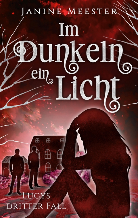 Im Dunkeln ein Licht - Janine Meester