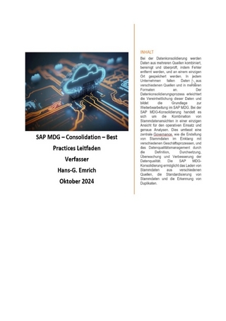 SAP Master Data Governance – Consolidation -Leitfaden