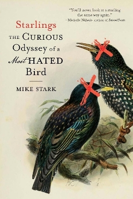 Starlings - Mike Stark