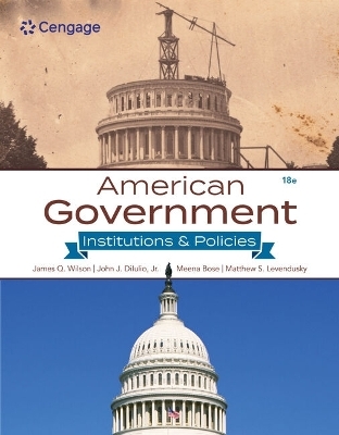 American Government - James Wilson, Jr. DiIulio  John, Meena Bose, Matthew Levendusky