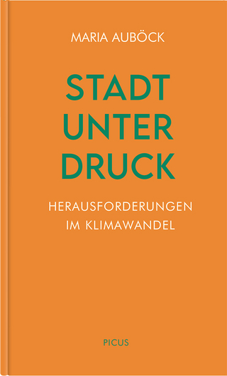Stadt unter Druck