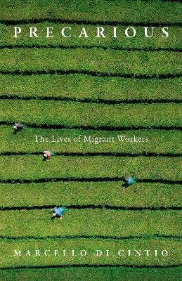 Precarious - Marcello Di Cintio