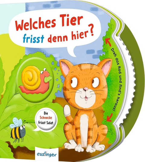 Dreh das Rad und find&acute;s heraus!: Welches Tier frisst denn hier? - Anja Kiel
