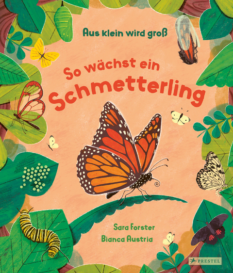 Aus klein wird gro&szlig;. So w&auml;chst ein Schmetterling - Sara Forster, Bianca Austria