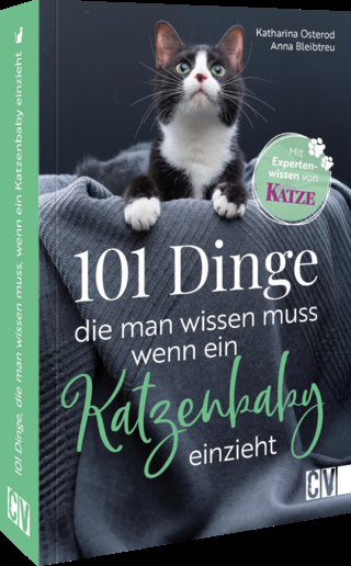 101 Dinge, die Du wissen musst, wenn Dein Katzenbaby einzieht