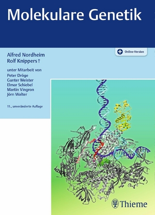 Molekulare Genetik - Alfred Nordheim; Rolf Knippers