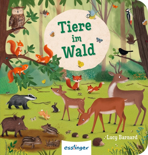 Mein erstes Natur-Wimmelbuch: Tiere im Wald &ndash; Mini-Ausgabe - Sibylle Schumann