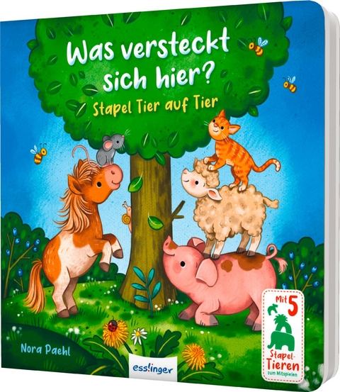 Was versteckt sich hier? - Nora Paehl