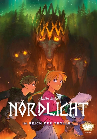 Nordlicht 04