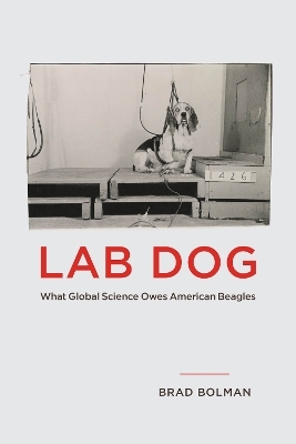 Lab Dog - Brad Bolman