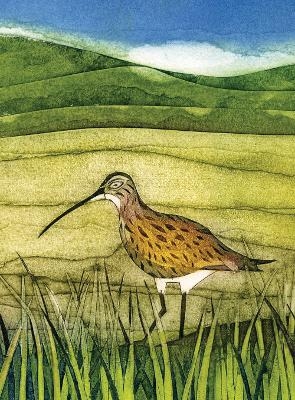 Wild Birds Pocket Notebook: Curlew - Sarah Ross-Thompson