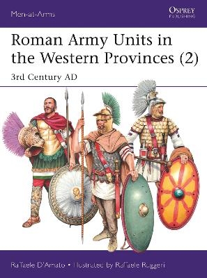 Roman Army Units in the Western Provinces (2) - Raffaele D&rsquo;Amato