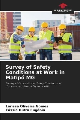 Survey of Safety Conditions at Work in Matip&oacute; MG - Larissa Oliveira Gomes, C&aacute;ssia Dutra Eug&ecirc;nio
