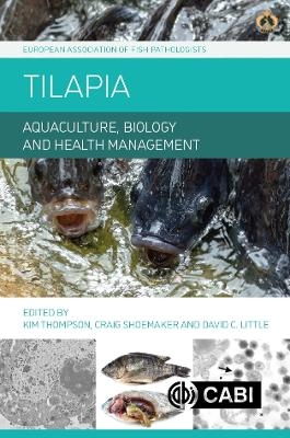 Tilapia - 