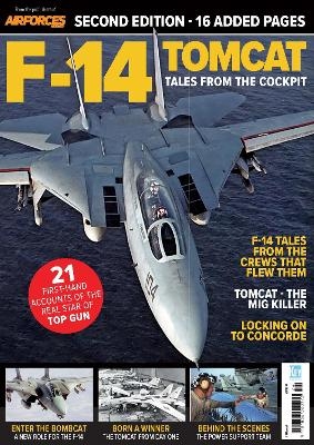 F-14 Tomcat - 