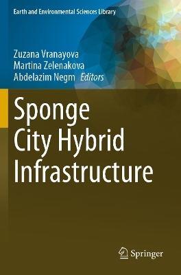 Sponge City Hybrid Infrastructure - 