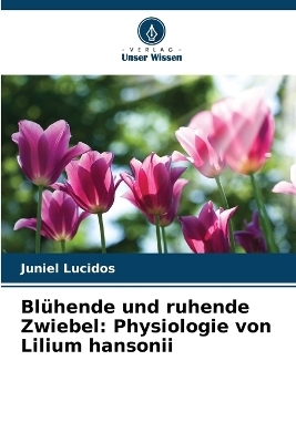 Blühende und ruhende Zwiebel