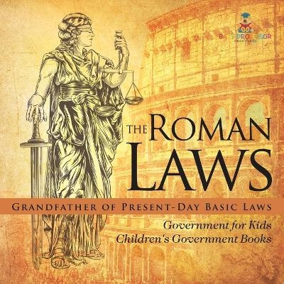 The Roman Laws -  Baby Professor