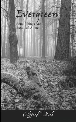 Evergreen - Some Things Are Best Left Alone -  Beck