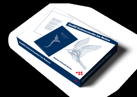 Zw&ouml;lf Gehversuche im Beten - Stephan Schmid-Keiser