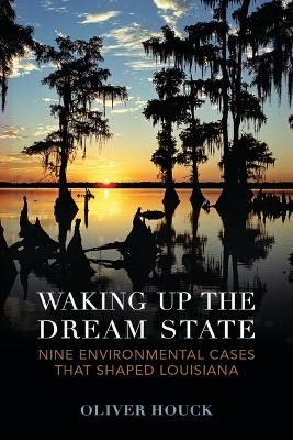Waking Up the Dream State