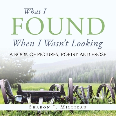 What I Found When I Wasn't Looking - Sharon J Millican