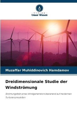Dreidimensionale Studie der Windstr&ouml;mung - Muzaffar Muhiddinovich Hamdamov