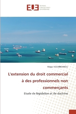 L'extension du droit commercial &agrave; des professionnels non commer&ccedil;ants - Wagui SOUMBOUNOU