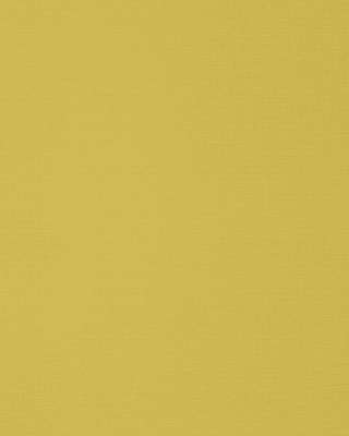 Notebook - Kolor King