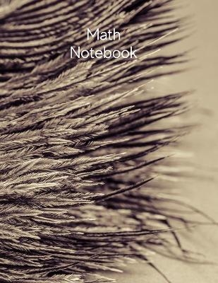 Math Notebook - Jed Nash