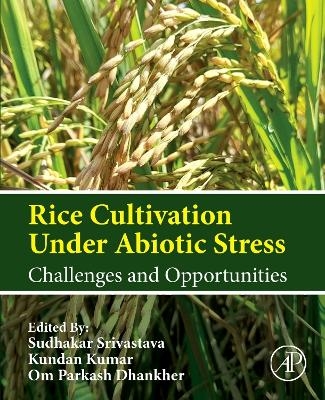 Rice Cultivation Under Abiotic Stress - 